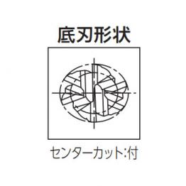 6刃鎢鋼銑刀(RF100SF)/ 3631 008.000